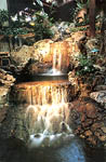 Four Seasons Lodge Waterfall