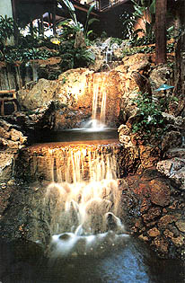 Four Seasons Lodge Waterfall